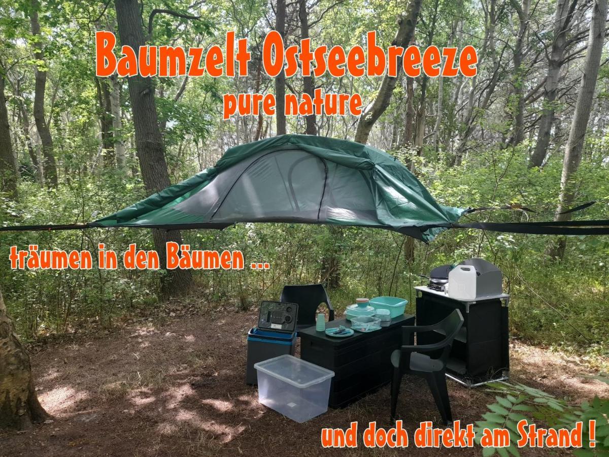 Baumzeltdorf Ostseebreeze Direkt Am Strand Dranske Buitenkant foto