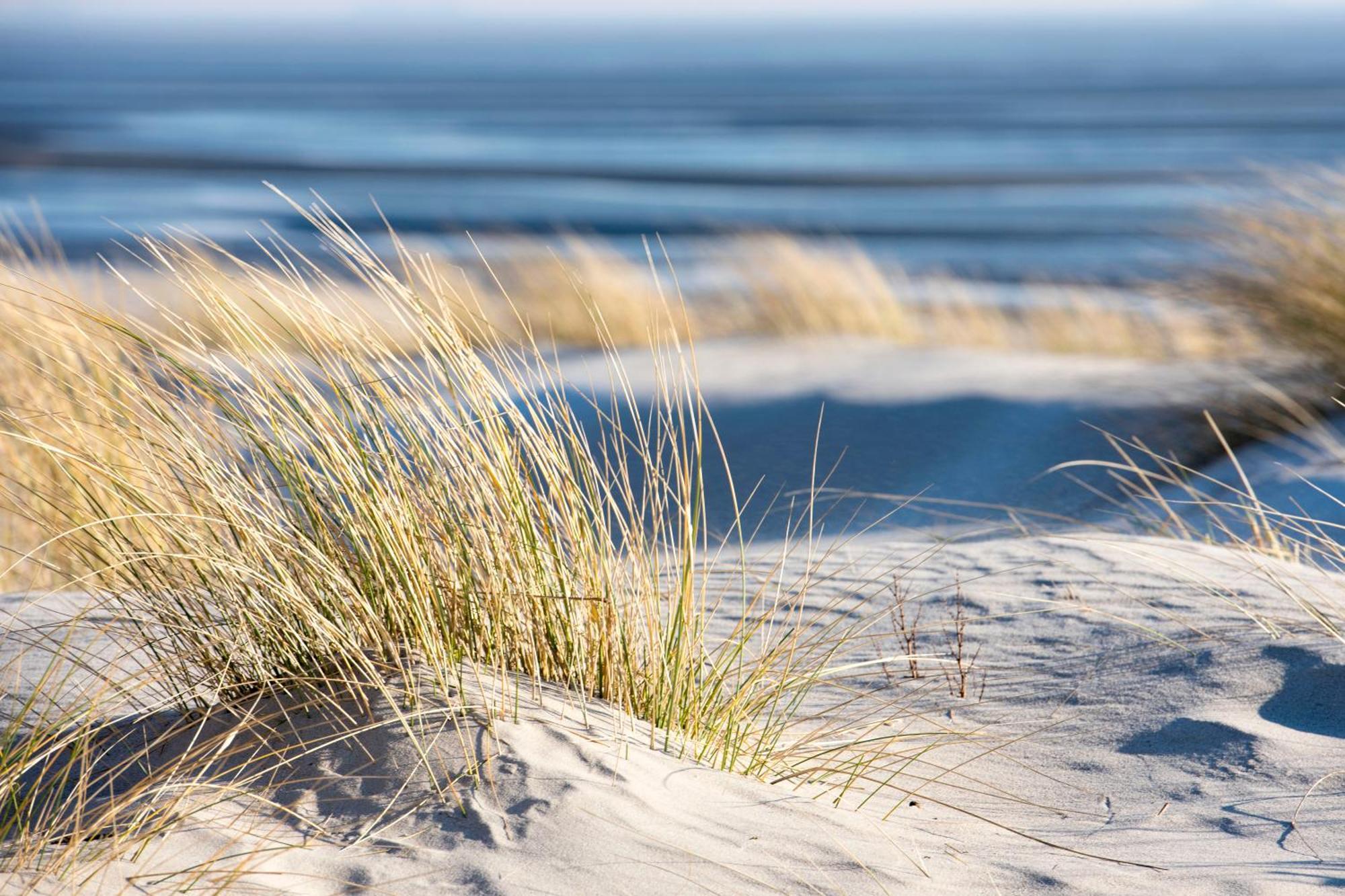Baumzeltdorf Ostseebreeze Direkt Am Strand Dranske Buitenkant foto
