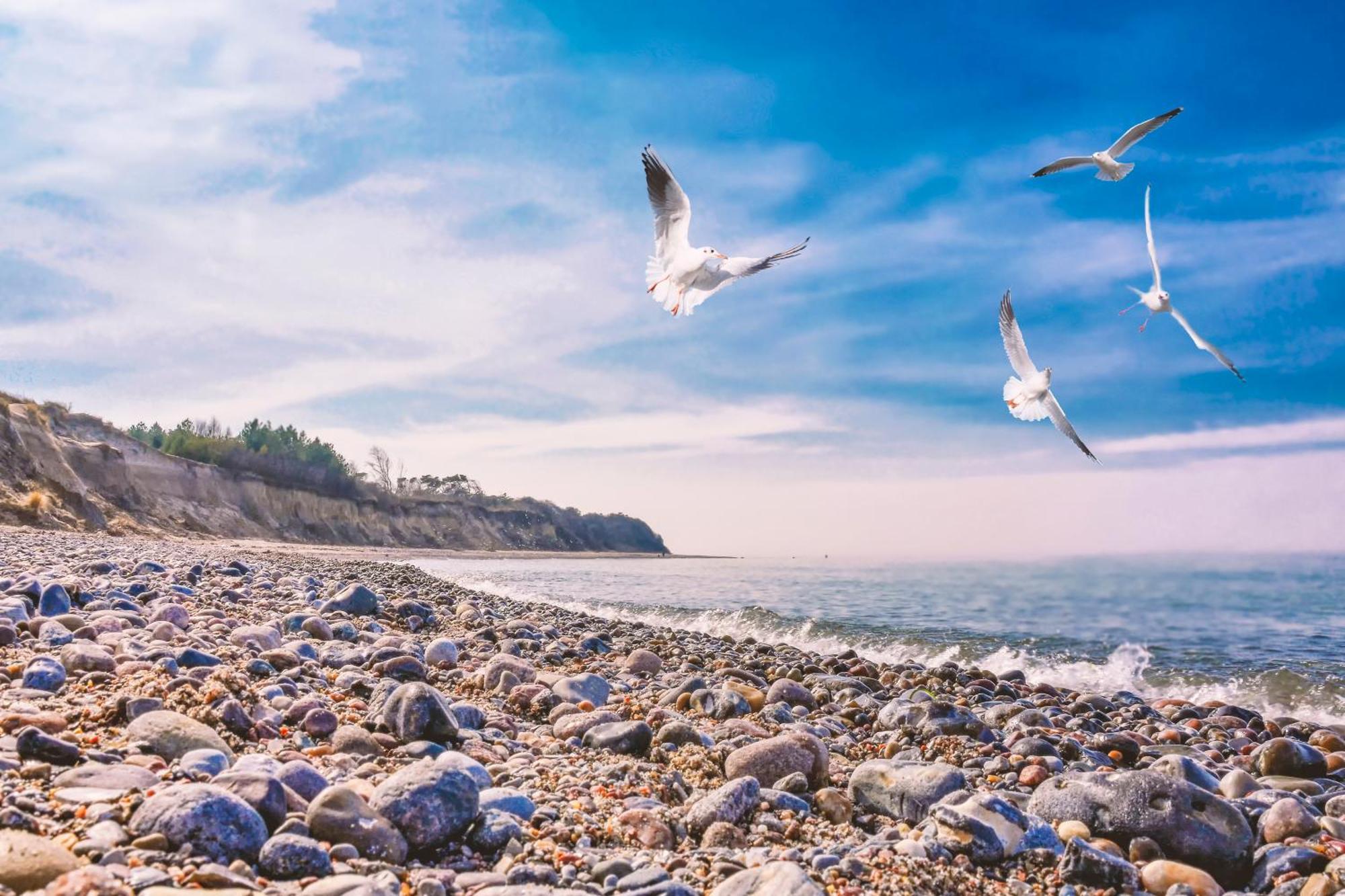 Baumzeltdorf Ostseebreeze Direkt Am Strand Dranske Buitenkant foto